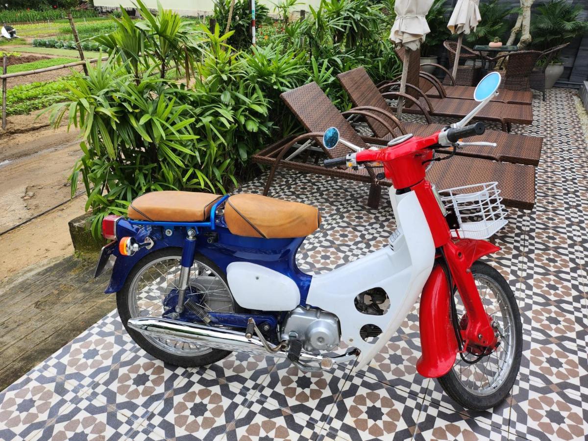 La Maison D'Indochine Hội An Kültér fotó