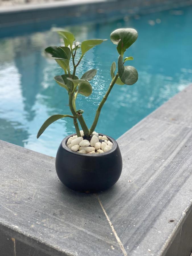 La Maison D'Indochine Hội An Kültér fotó