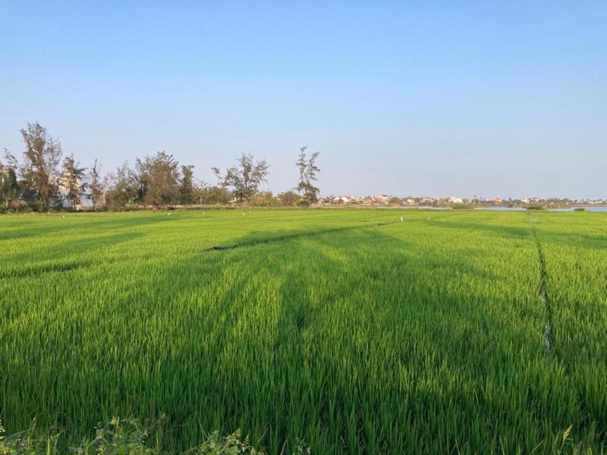 La Maison D'Indochine Hội An Kültér fotó